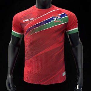 Player Version 2023 Gambia Home Jersey